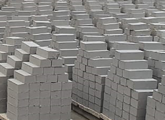 Flyash Bricks